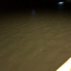 仕事終わりにライトゲーム