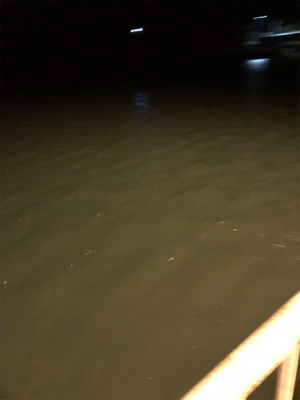 仕事終わりにライトゲーム