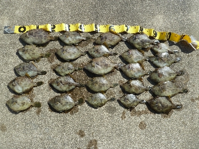 磯ハギング楽し♪