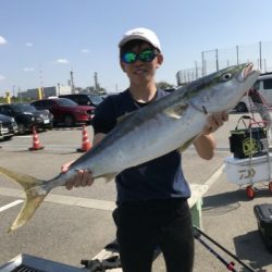 青物回遊のピーク??