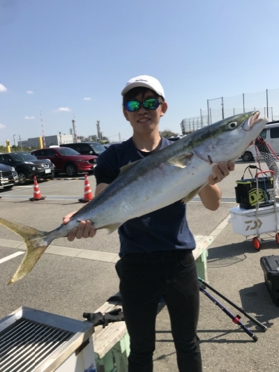 青物回遊のピーク??