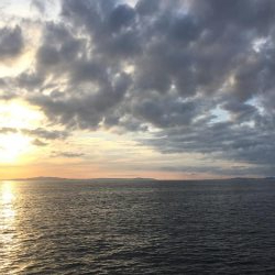 岸和田一文字にて爆釣