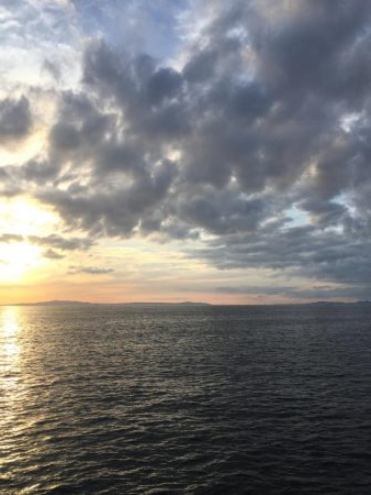 岸和田一文字にて爆釣