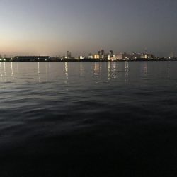 サバのありがたみ。