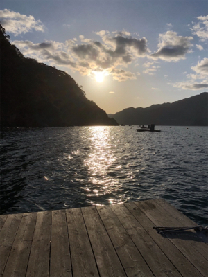 ヤエンのアジが釣れない…