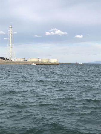 アオリイカメジロ太刀魚色々狙ってみるも