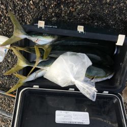 某堤防ノマセクラブメジロ祭り3