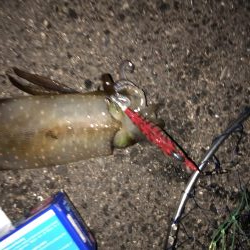 赤坂海岸で2時間