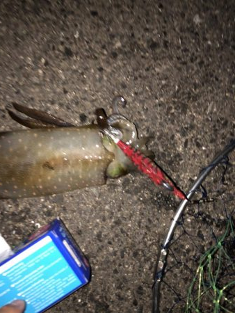 赤坂海岸で2時間