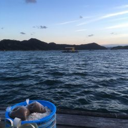 鳴門ウチノ海筏でダンゴ釣り・泳がせ釣り