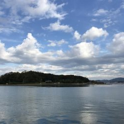 アオリイカお持ち帰り(^^)