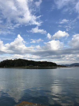 アオリイカお持ち帰り(^^)