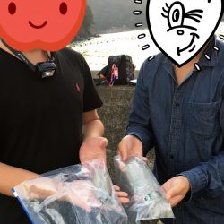 秋エギング終盤戦