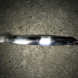 ワインドからのライトゲーム