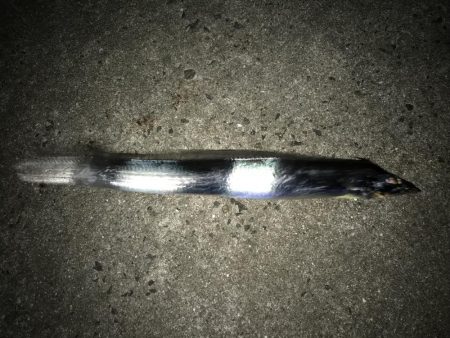 ワインドからのライトゲーム