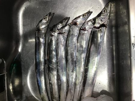 夕マヅメタチウオ