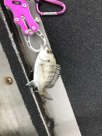 小豆島 家族旅行の合間に♪