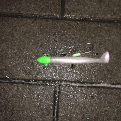 シーサイド タチウオ