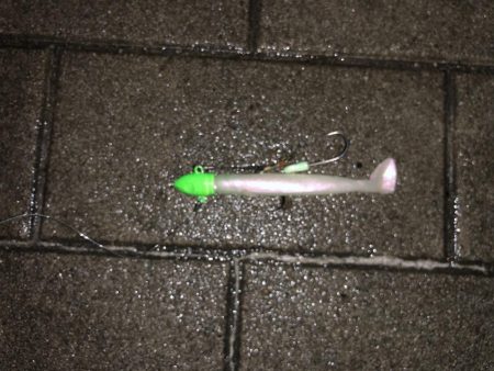 シーサイド タチウオ