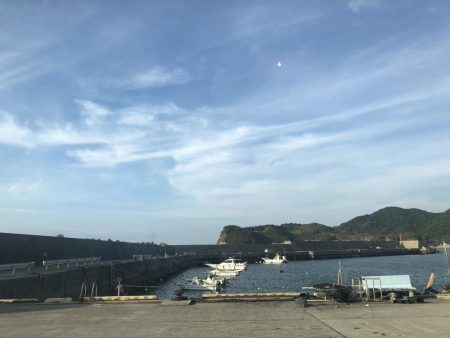 初の青物!イナダきたー!