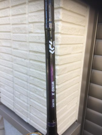 イカダメ、タチ2