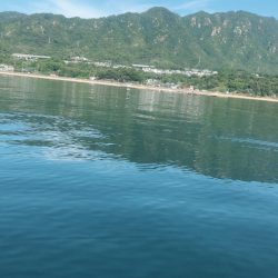 Supフィッシング