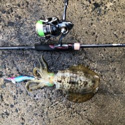 台風の前の静けさ