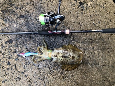 台風の前の静けさ