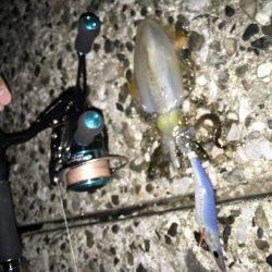 仕事帰りエギング