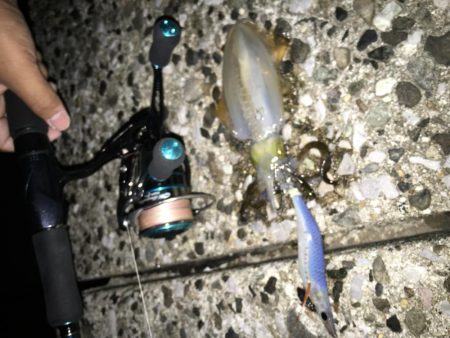 仕事帰りエギング