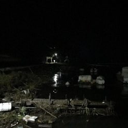 朝早くにアジング