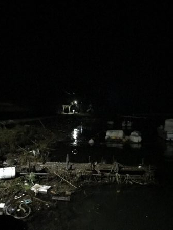 朝早くにアジング