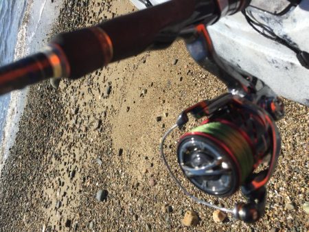 とりあえずガシラ