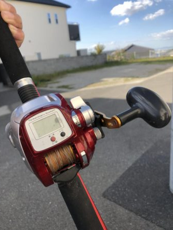 泉佐野マリンライフさんでタチウオ