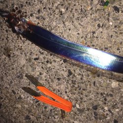 今日もタッチー釣れました。