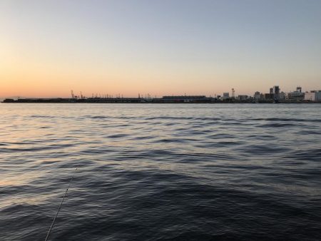 タチウオ高活性。