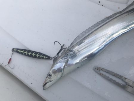 タチウオジギング