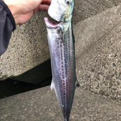 最近よくジグをなくす…