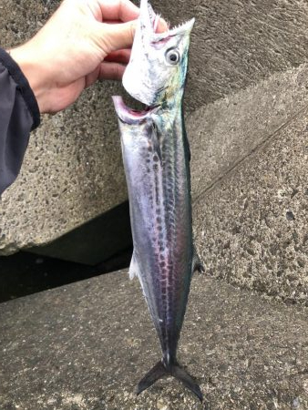 最近よくジグをなくす…