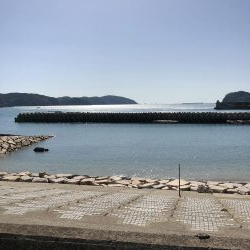 北西風にやられた