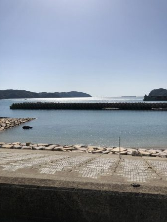 北西風にやられた