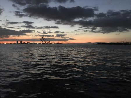 タチウオからのサバ・サバ・サバ