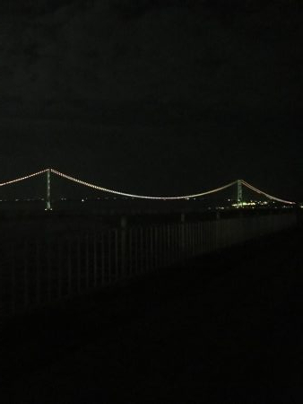 時期外れの剣先イカ