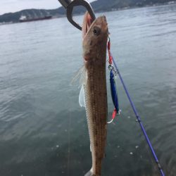 サイズアップしてますよ⤴️