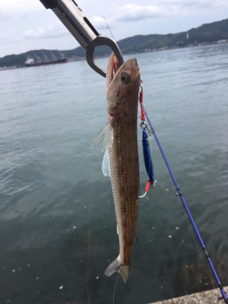 サイズアップしてますよ⤴️