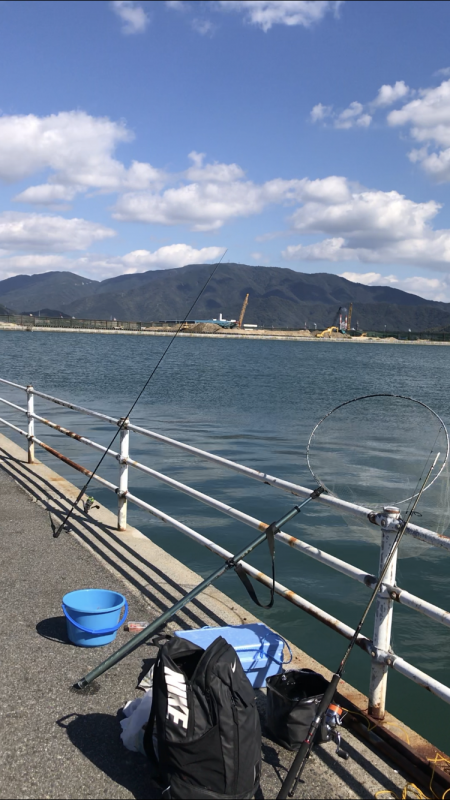 サビキで回遊魚、大きいボラも…♪