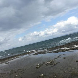 強風プラッギング