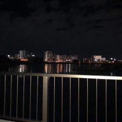 ひさしぶりのテクトロ釣果