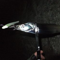 短時間勝負！！