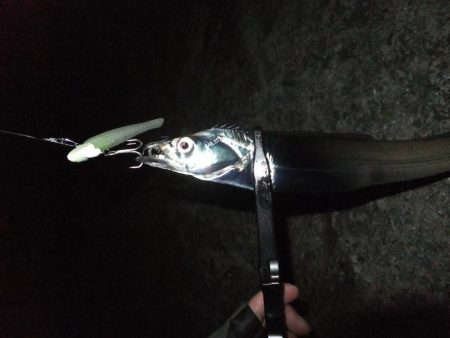 短時間勝負！！